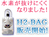 H2-BAG̔JnI