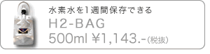 H2-BAG